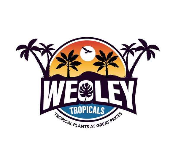 Weoley Tropicals